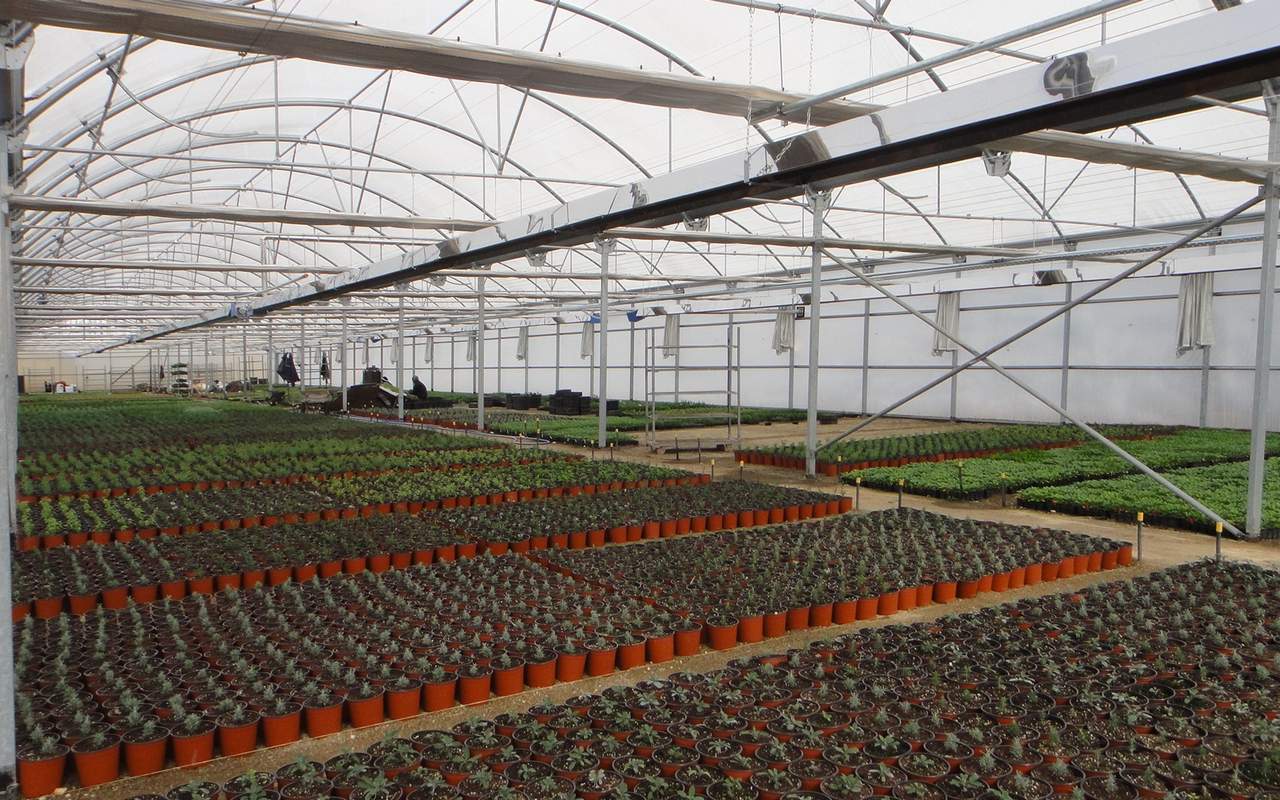 14.thermokipio Kottakis Natural Gas