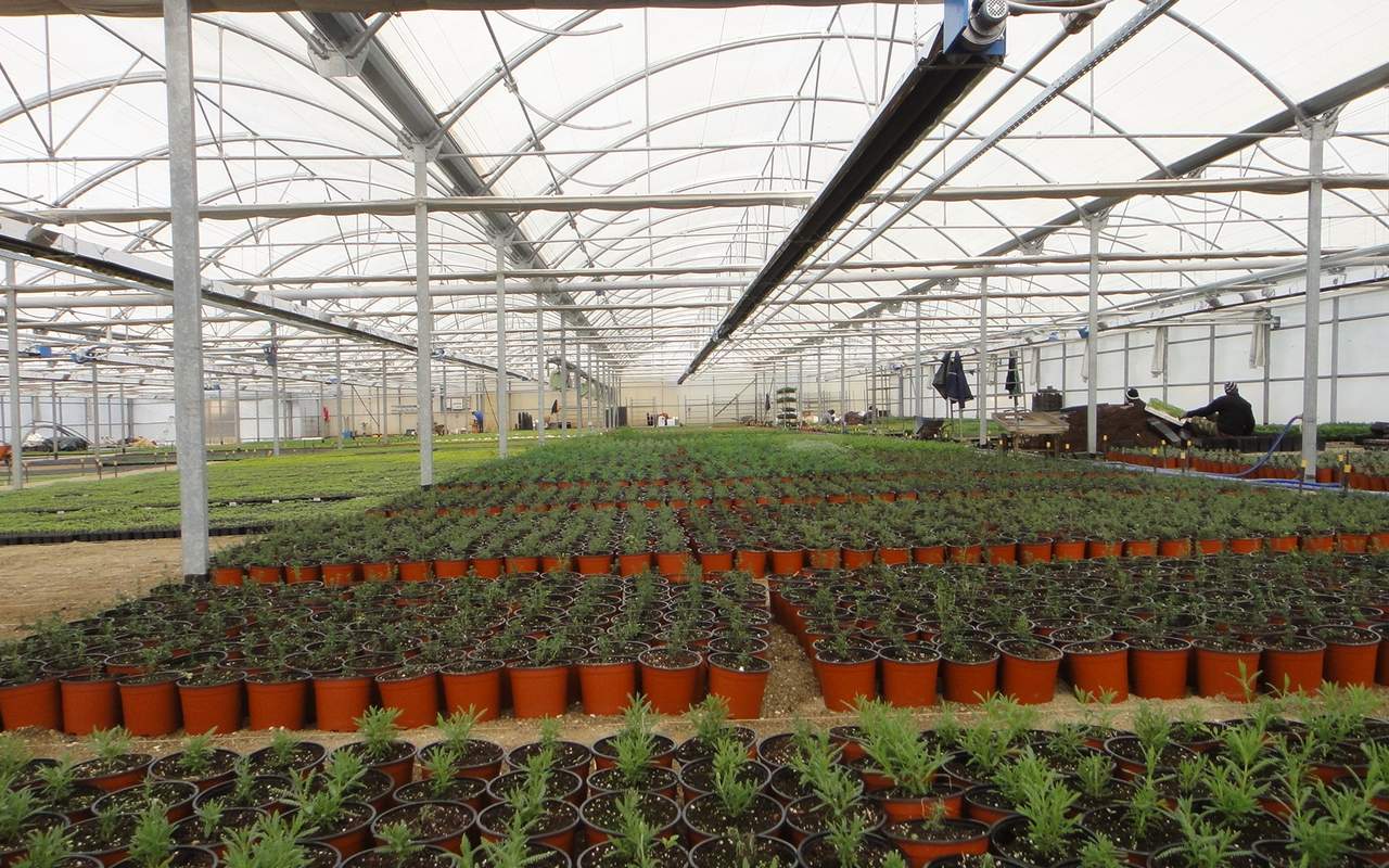 15.thermokipio Kottakis Natural Gas