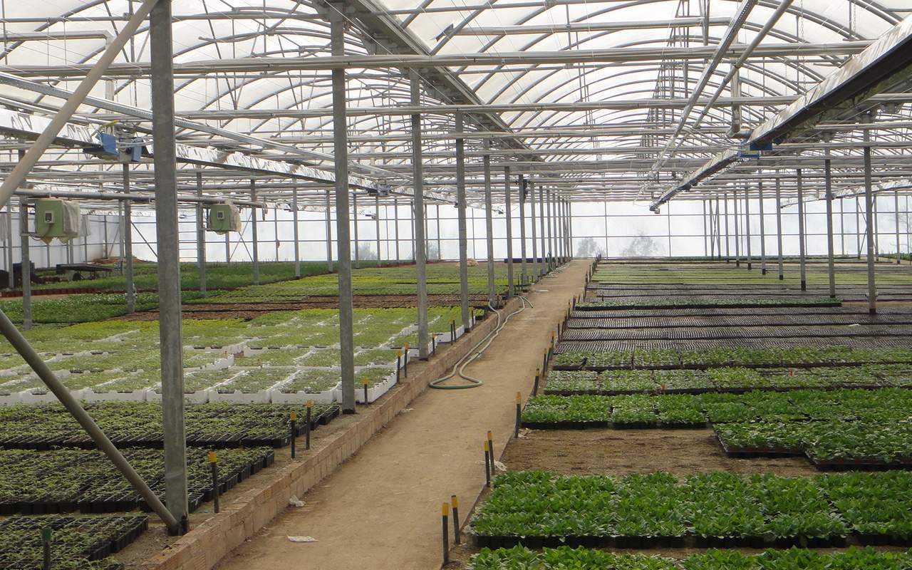 23.thermokipio Kottakis Natural Gas